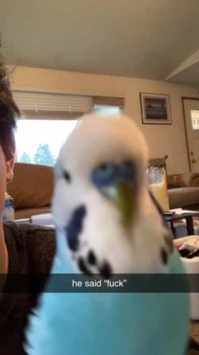 Barney no!!! 😭🤣