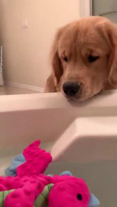 We could watch this dog all day 😍