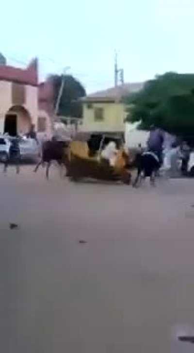 Haha boom hahagahahahahafagahahaga