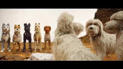 Just a bunch of stop motion dogs