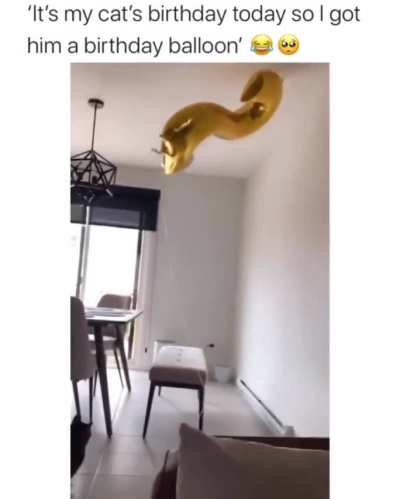 He loves his birthday balloon.