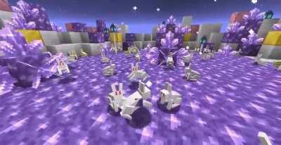 This looks like a dream !