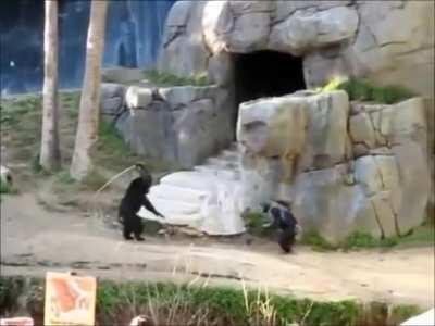 Golira brigando ao som de Doom