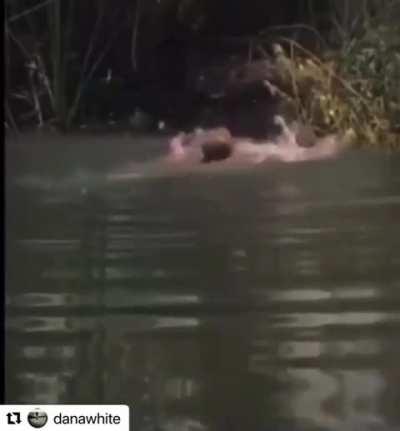 She can't swim either :))