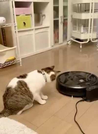 Why’d he jump off screen like that😂