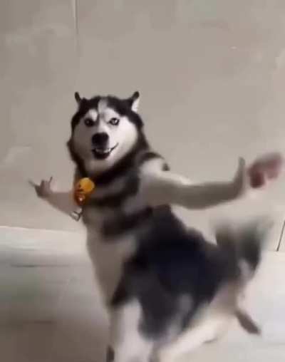 Goto se aashu nikal aye 😿