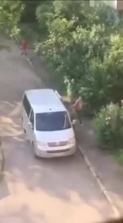 Ukrainian conscription officer kidnap a man