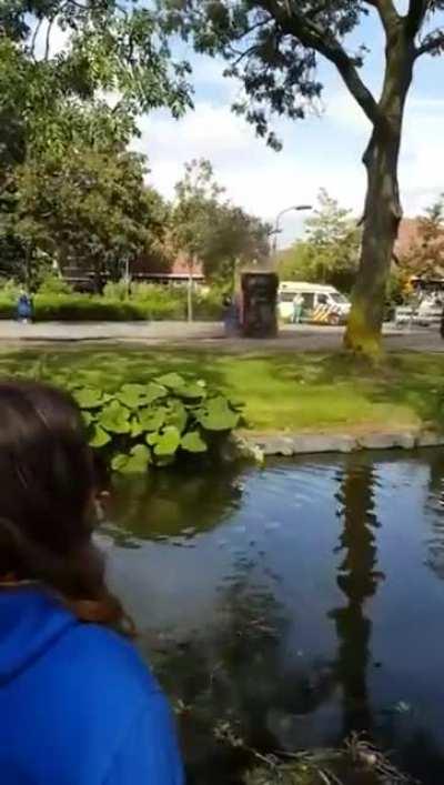 What type of stunt was that?