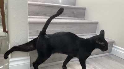 Daddy was gone for 10 days and this was my greeting as I came in.