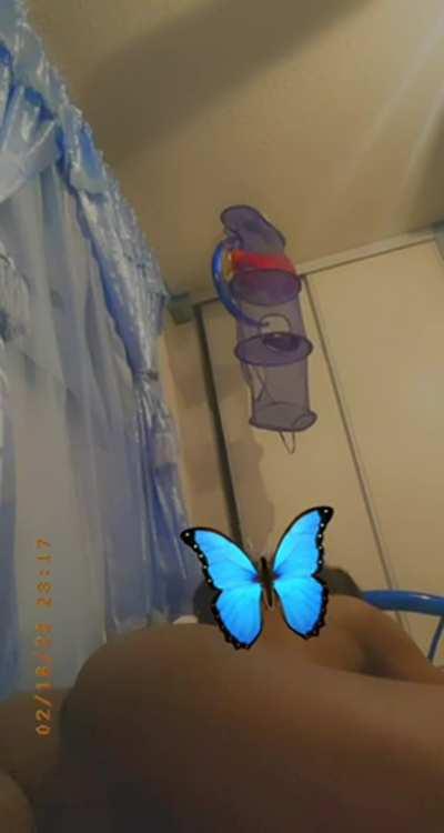 🥺new here🥺 please play with meee🦋