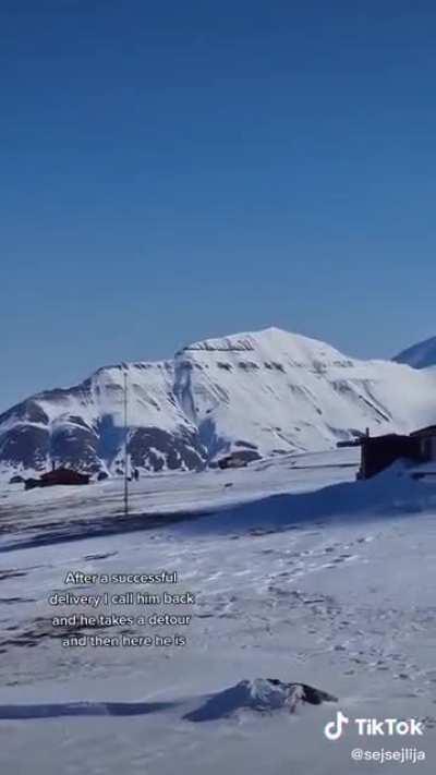 Using the Svalbard courier to send something across the island