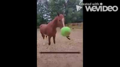 Flail Yeet (I found this video here:  