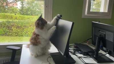 Installing The Webcam.