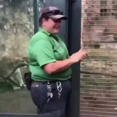 Big kitty playing tug-of-war