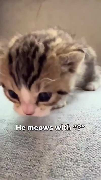 Child hero maintains his inquisitive nature in order to root out thoughtcriminals