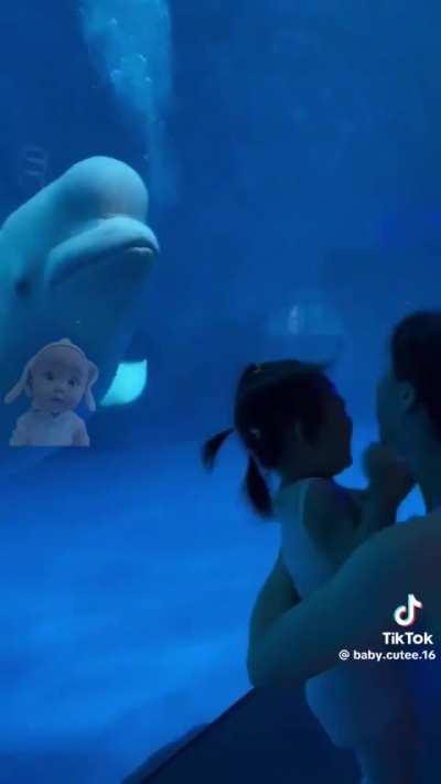 It enjoyed her cries of fear