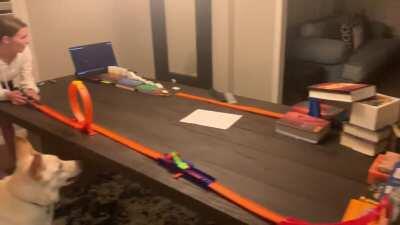 Felix, I need someone to review my rube goldberg machine for science class. What do you think?