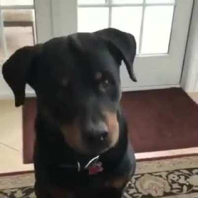 Cheese is everything...