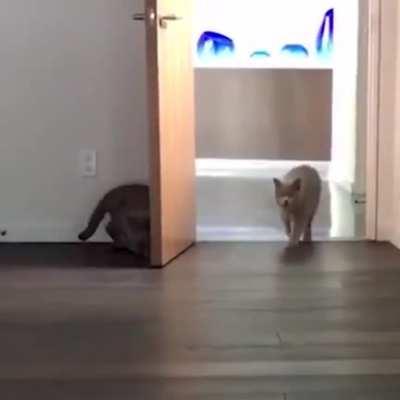 Sibling surprise attack!