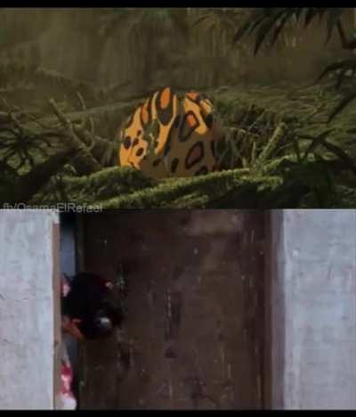 بوحة vs طرزان