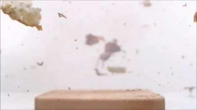 Arby’s New Campaign - We Have The Meats