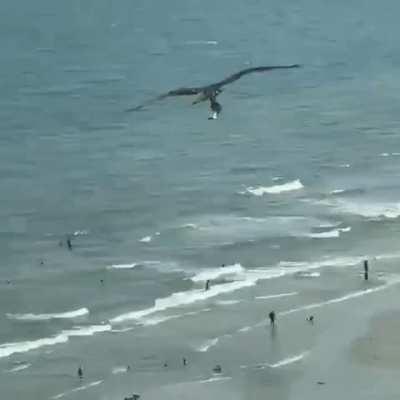 Guess I'll fly now..