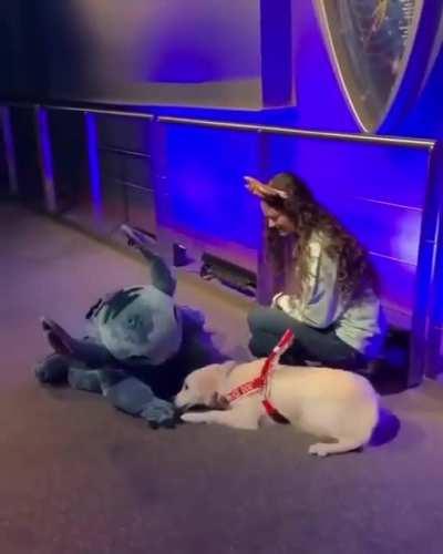 Met his favorite character