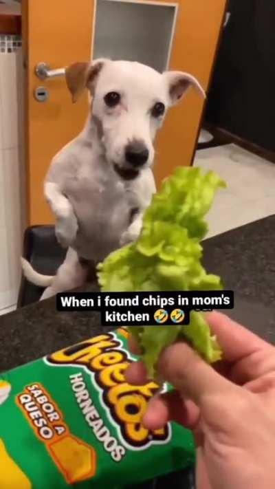 He was waiting for chips)