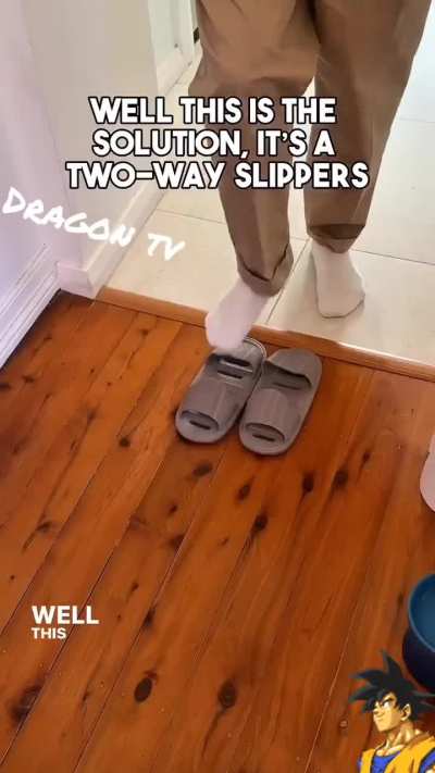 TWO-WAY SLIPPERS