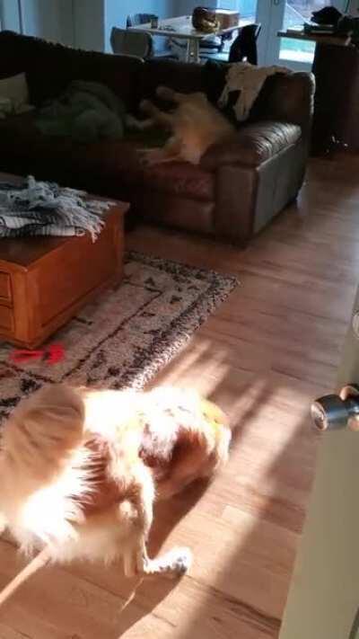 reverse master return