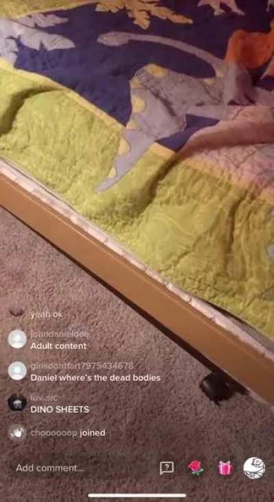 I’m sorry mr president, I have to leak the room tour😱