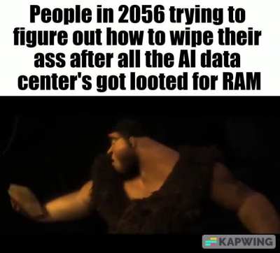 Ram is too expensive.