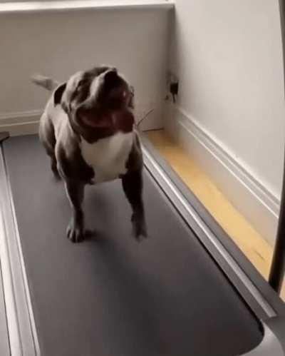 Working on his beach body.