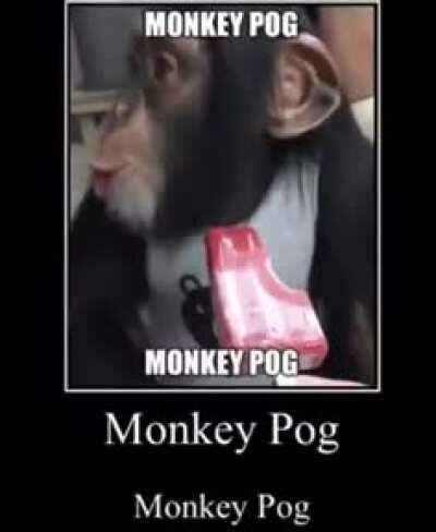 monke pog
