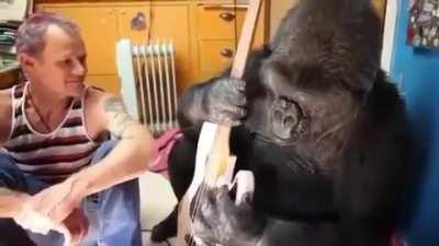 How hard could that be?