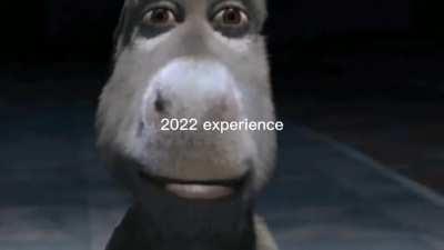 The 2022 Experience