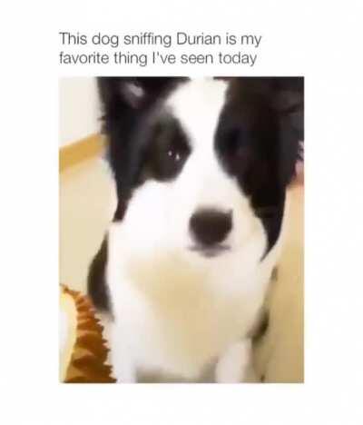 That's a no from me bro