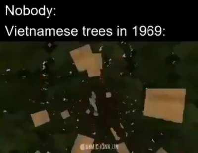 THEY'RE IN THE TREES