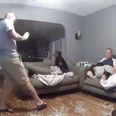 Good boy needs more space!