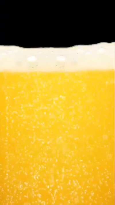 losercity acceptance 