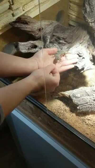 Working on trust, or whatever you wanna call it