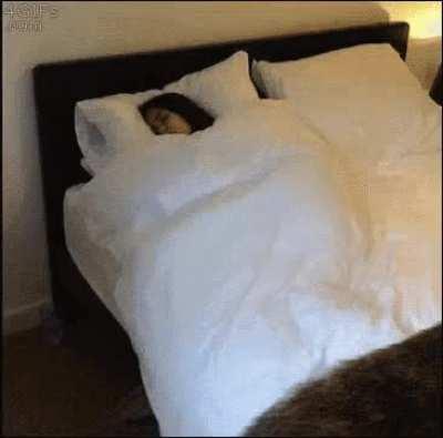 Sleeping in a nutshell