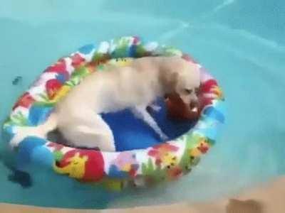 Don't bother me for the rest of the day.