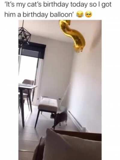 He loves it so much!