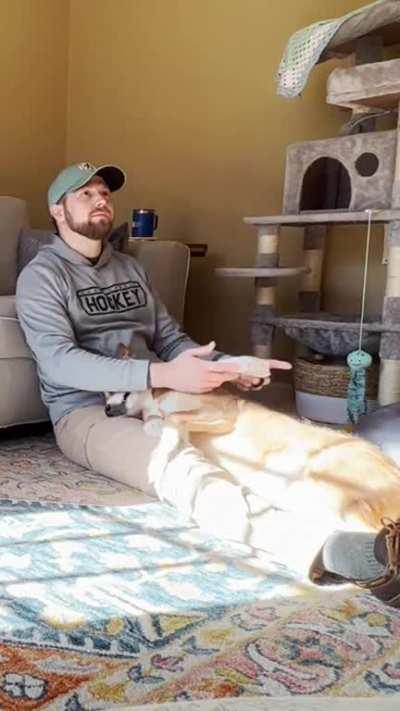 “No more video games, human”