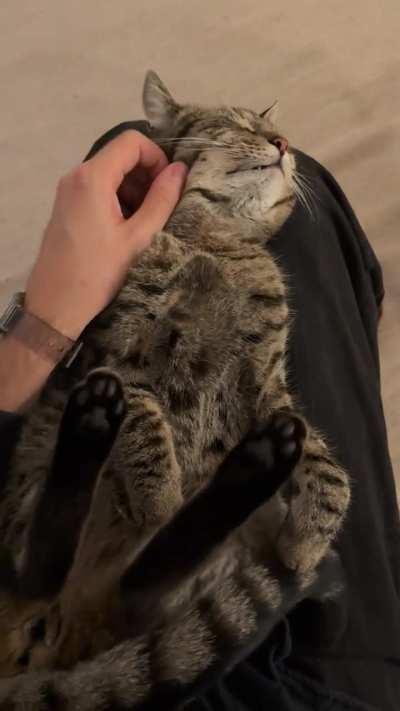 Elite spready toe situation 🥰