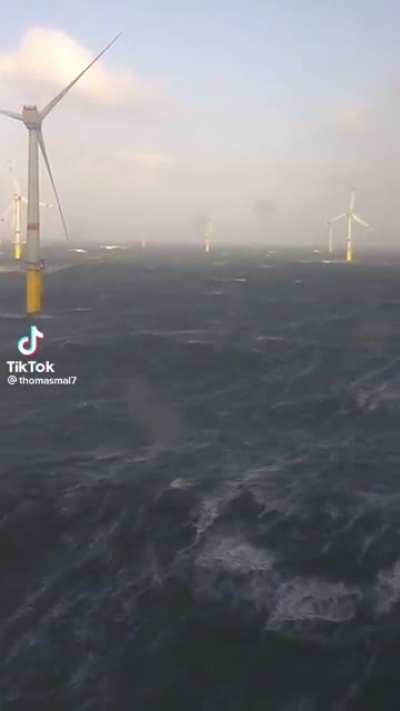 [NOT MY OC] Imagine be there at night.