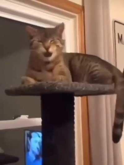 SOUND ON 😍 That's the sweetest 