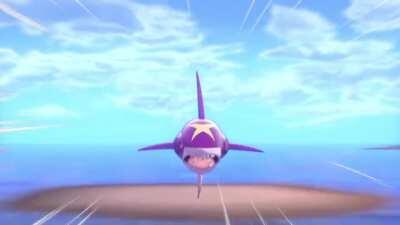 I was showing my cousin how fun sharpedo is in the isle of armor when a random one tagged me, let’s just say me and my cousin were quite surprised!