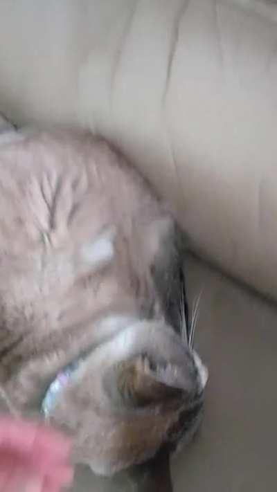 My 16 year old lady's activation